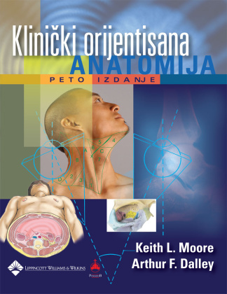 klinicki-orjentisana-anatomija